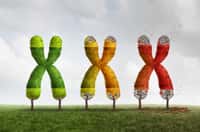 Arriverons-nous à retarder le vieillissement ? © Fresh idea, Fotolia